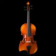 Howard Core Academy A15 Model 4 4 Violin Outfit Hot on Sale